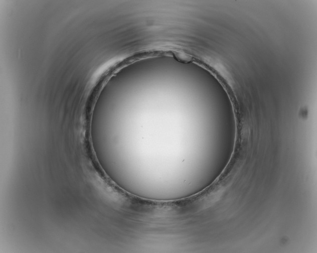 X0000093750979200710231228