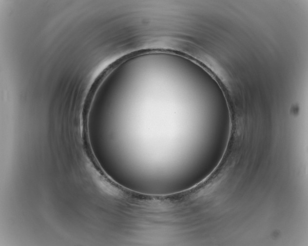 X0000093750980200710231228