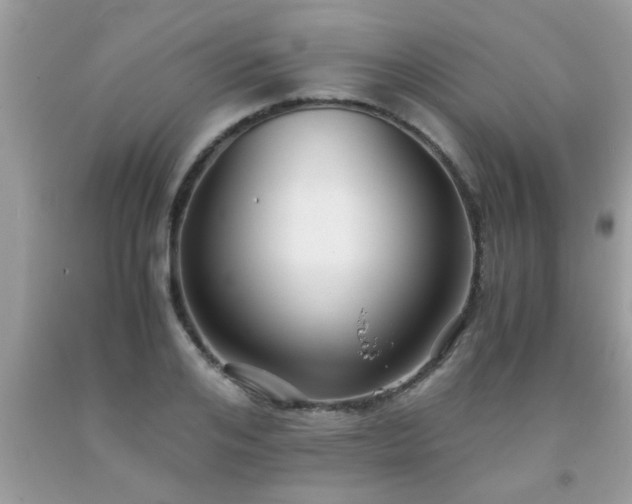 X0000093750984200710231228