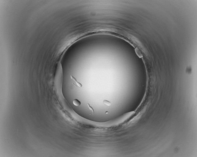 X0000093750985200710231228