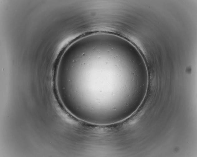 X0000093750987200710231228