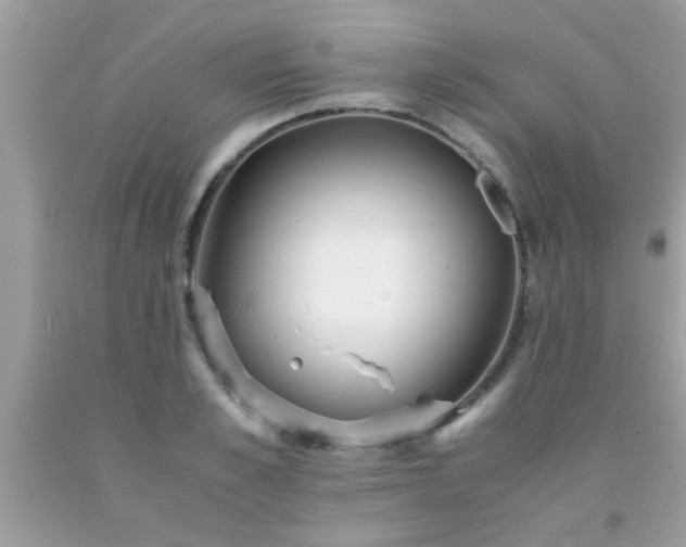 X0000093750989200710231228