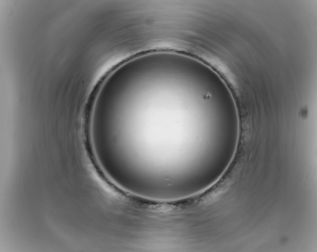 X0000093750991200710231228