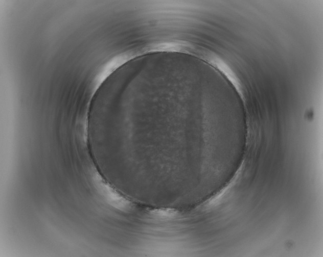 X0000093750994200710231228