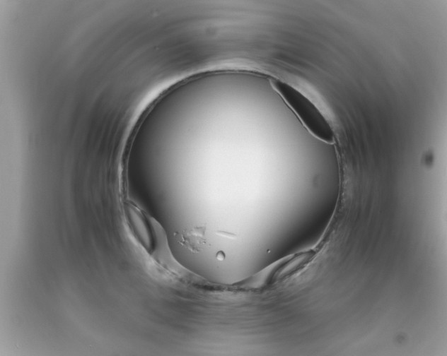 X0000093750996200710231228