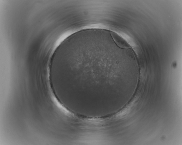 X0000093750998200710231228