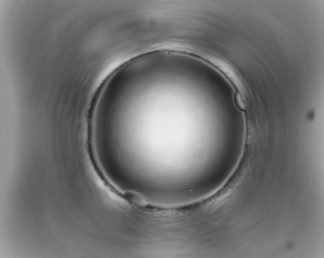 X0000093750999200710231228