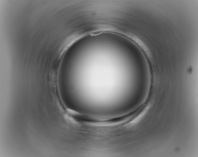 X0000093751001200710231228