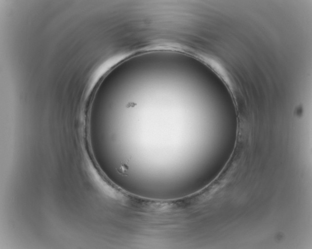X0000093751003200710231228