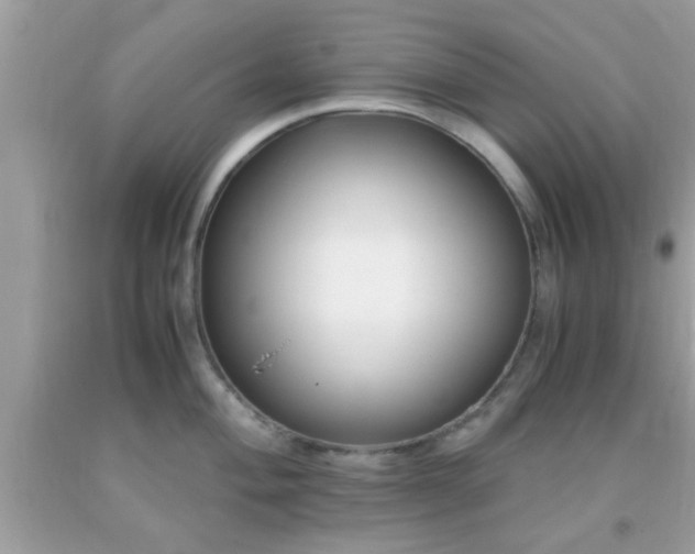 X0000093751004200710231228