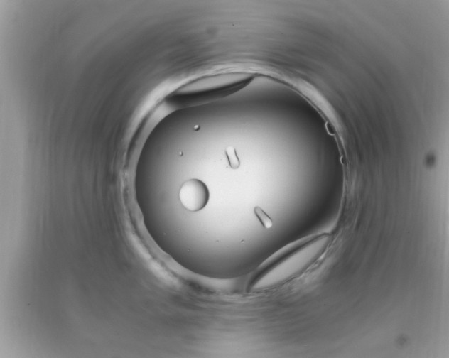 X0000093751005200710231228