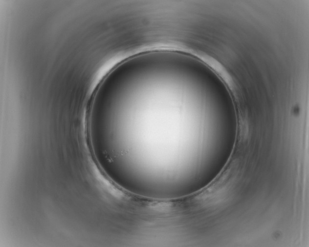 X0000093751006200710231228