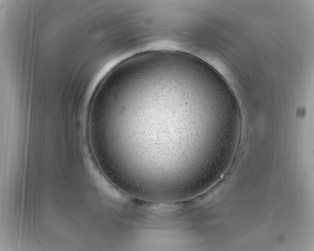 X0000093751008200710231228