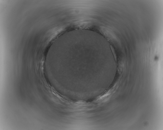X0000093751010200710231227