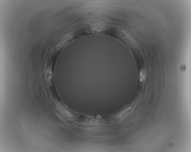 X0000093751011200710231227