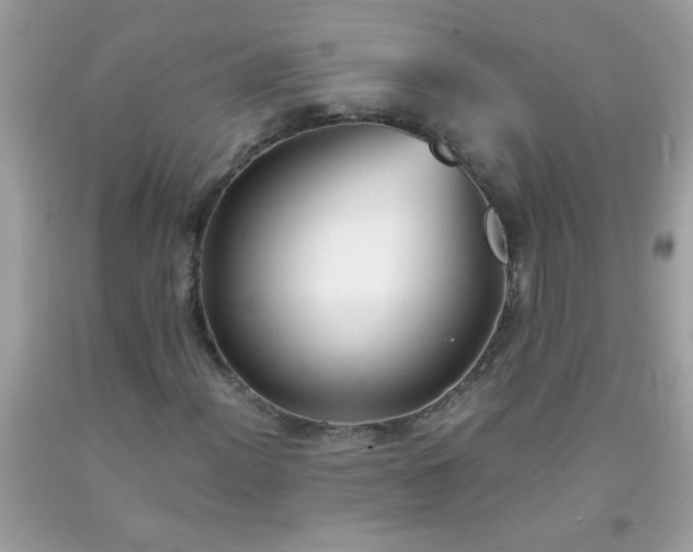 X0000093751012200710231227