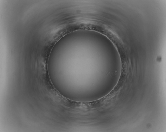 X0000093751013200710231227