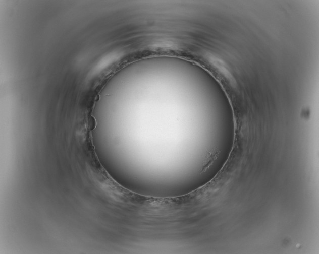 X0000093751015200710231227