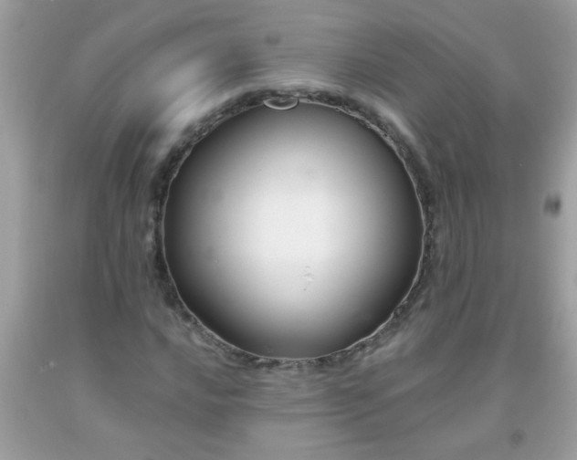 X0000093751016200710231227