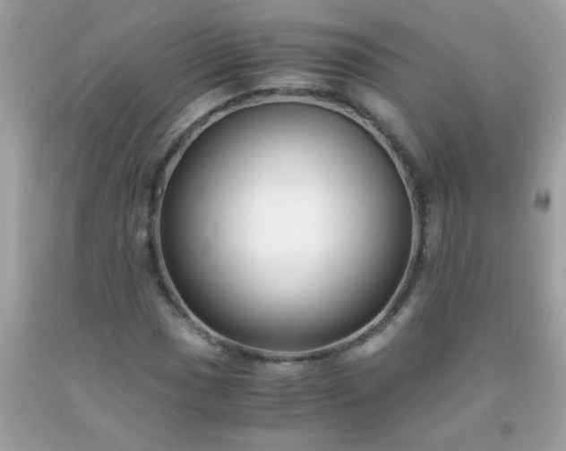 X0000093751017200710231227