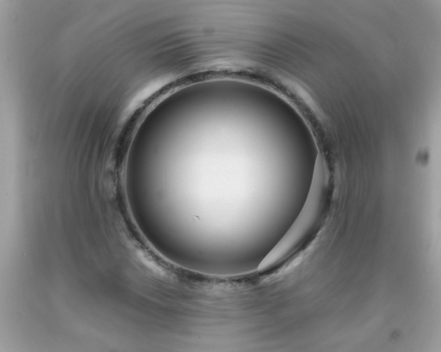 X0000093751018200710231227