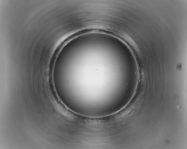 X0000093751020200710231227