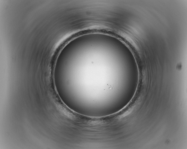 X0000093751021200710231227