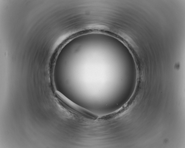 X0000093751022200710231228