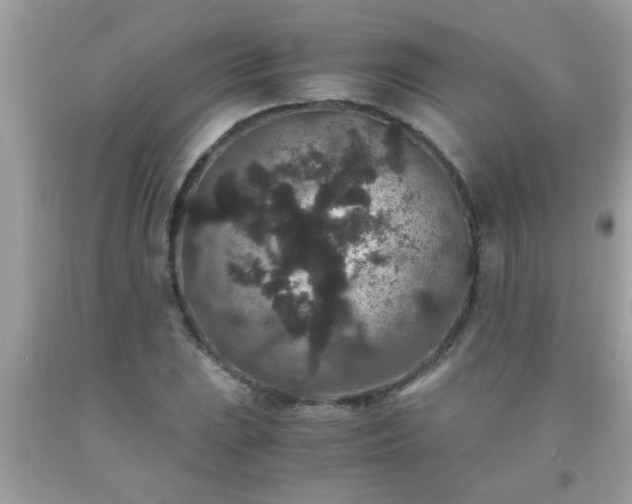 X0000093751023200710231228