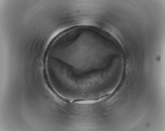 X0000093751024200710231228