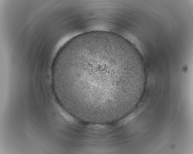 X0000093751027200710231228