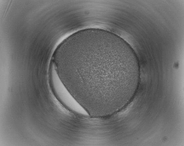 X0000093751028200710231228