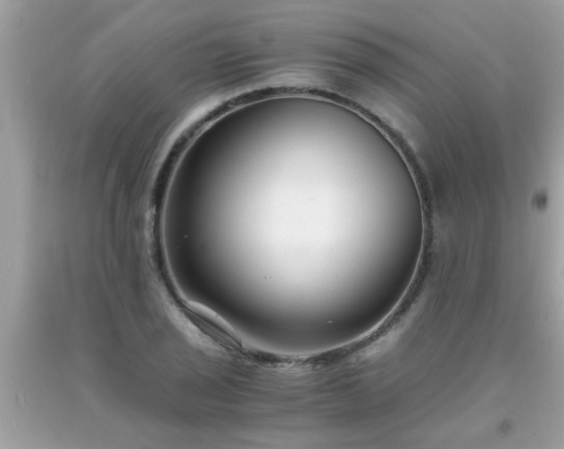X0000093751029200710231228
