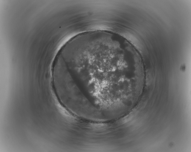 X0000093751031200710231228
