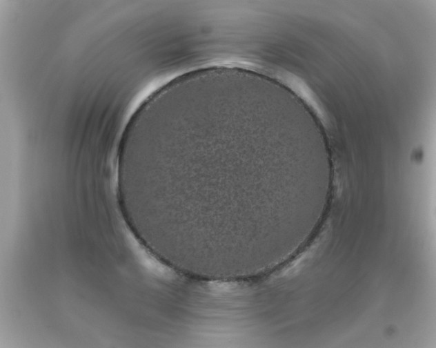 X0000093751032200710231228