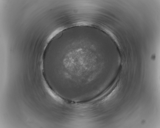 X0000093751034200710231228