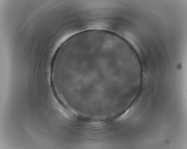 X0000093751035200710231228