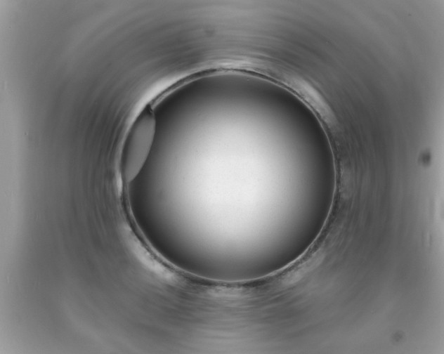 X0000093751036200710231228