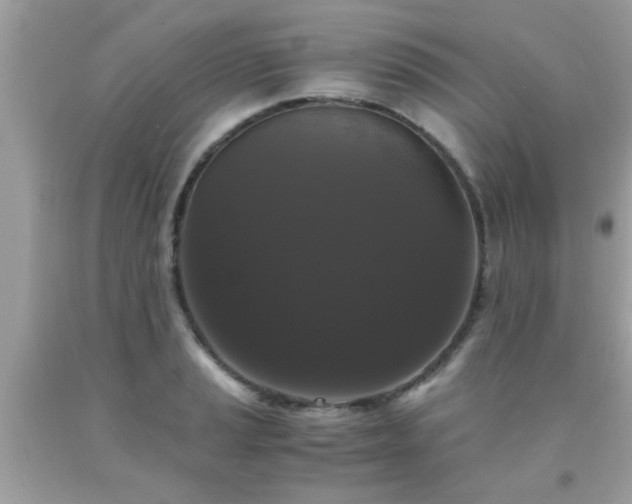 X0000093751037200710231228