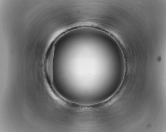 X0000093751038200710231228
