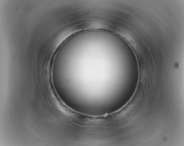 X0000093751039200710231228
