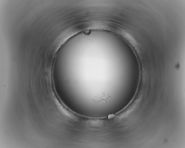 X0000093751041200710231228