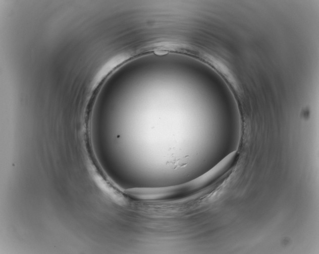 X0000093751042200710231228