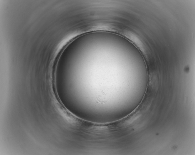 X0000093751043200710231228