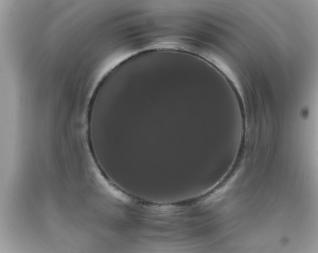 X0000093751045200710231228