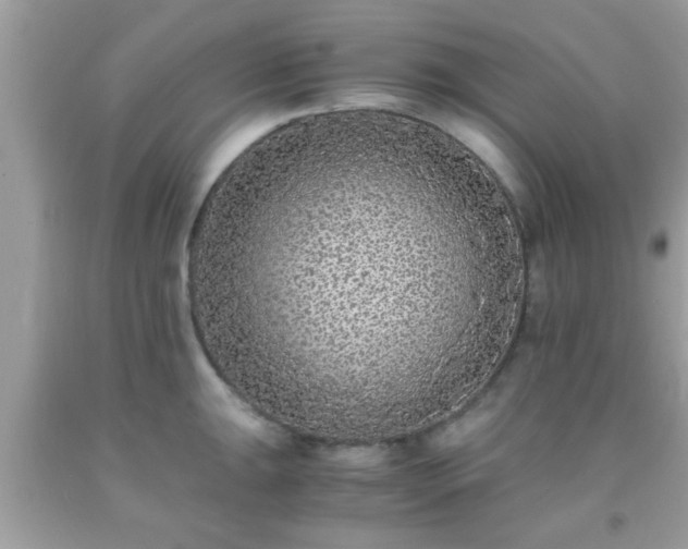 X0000093751047200710231228