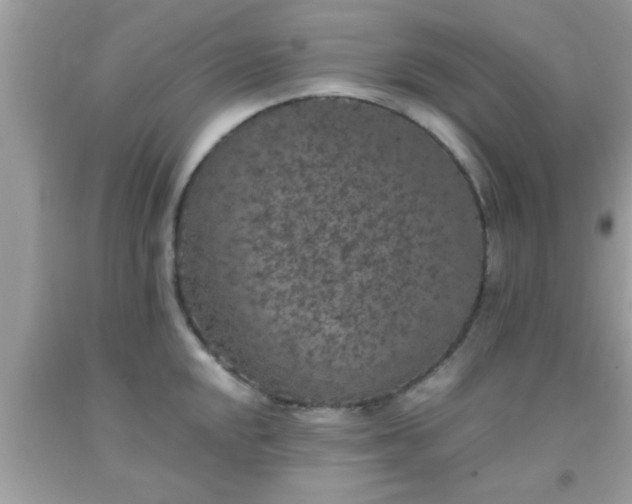 X0000093751048200710231228