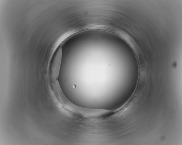 X0000093751050200710231228