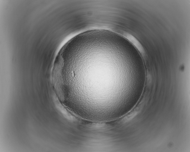 X0000093751052200710231228