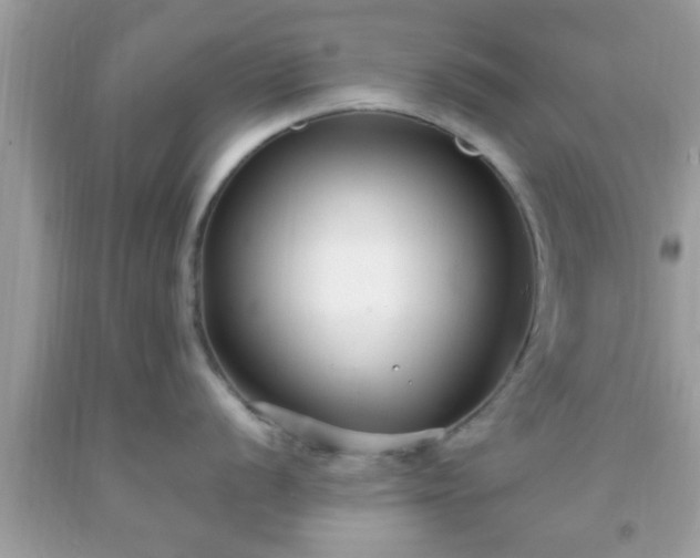 X0000093751056200710231228